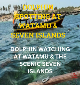 DOLPHIN WATCHING AT WATAMU THE SCENIC SEVEN ISLANDS 1