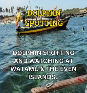DOLPHIN WATCHING final 2