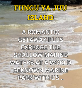 FUNGU YA JUU ISLAND final 1